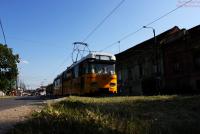 Imagine atasata: IMG_0169.JPG